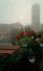 Nome del file : Mattino Velato.JPG
Dimensione file : 213KB
Dimensioni : 949x1550
Aggiunta il : 06 Dic 2005 Mattino Velato.JPG