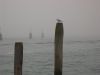 Nebbia in Laguna.jpg