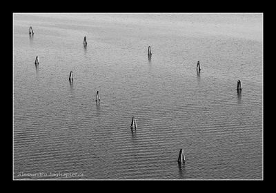 Clicca per immagine full size