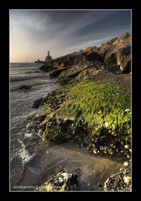 Clicca per immagine full size