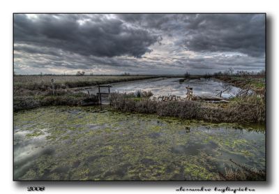 Clicca per immagine full size