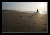 Nome del file : passeggiata in spiaggia.jpg
Dimensione file : 199KB
Dimensioni : 900x632
Aggiunta il : 04 Mag 2008 passeggiata in spiaggia.jpg