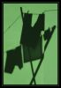 verde1.jpg
