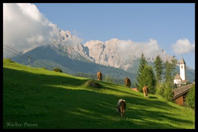 Clicca per immagine full size