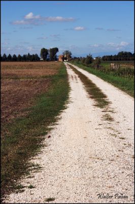 Clicca per immagine full size