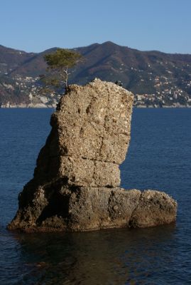 Clicca per immagine full size