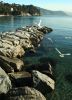 s-margherita-ligure1.jpg