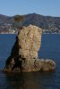 s-margherite-ligure2.jpg