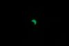 eclissi parziale di sole 29-03-06.jpg