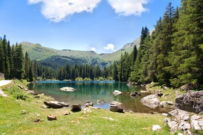 Clicca per immagine full size