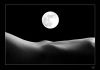 Nome del file : MOON BN.jpg
Dimensione file : 105KB
Dimensioni : 794x556
Aggiunta il : 17 Ott 2009 MOON BN.jpg