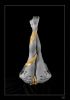 Nome del file : legs1.jpg
Dimensione file : 77KB
Dimensioni : 516x737
Aggiunta il : 30 Dic 2009 legs1.jpg