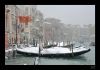 snow in venice gr.jpg