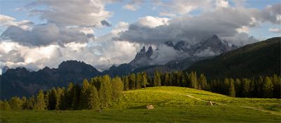 Clicca per immagine full size