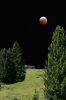 luna rossa in montagna.jpg