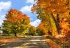 Autumn road corr1clouds email.jpg