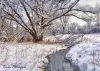 _DSC0066stream snow winterFlickr.jpg