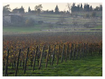 Clicca per immagine full size