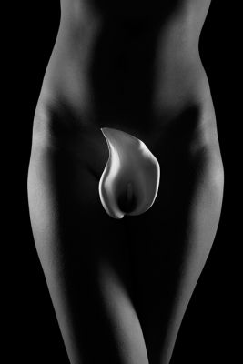 Clicca per immagine full size