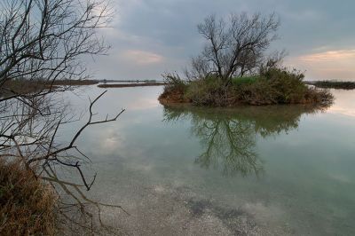 Clicca per immagine full size