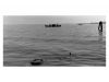 20 - Busta 20a n 37 - Venezia - Laguna, barca funebre - 1961.jpg
