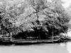 22b - Murano, gondolino in Rio S. Matteo, 1959.jpg