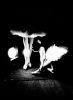 Nome del file : Ballerine.jpg
Dimensione file : 93KB
Dimensioni : 700x950
Aggiunta il : 14 Mar 2014 Ballerine.jpg