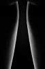 LEGS 6 LIGHTS.jpg