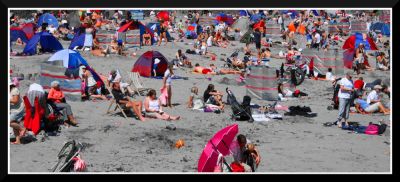 Clicca per immagine full size