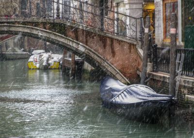 Clicca per immagine full size